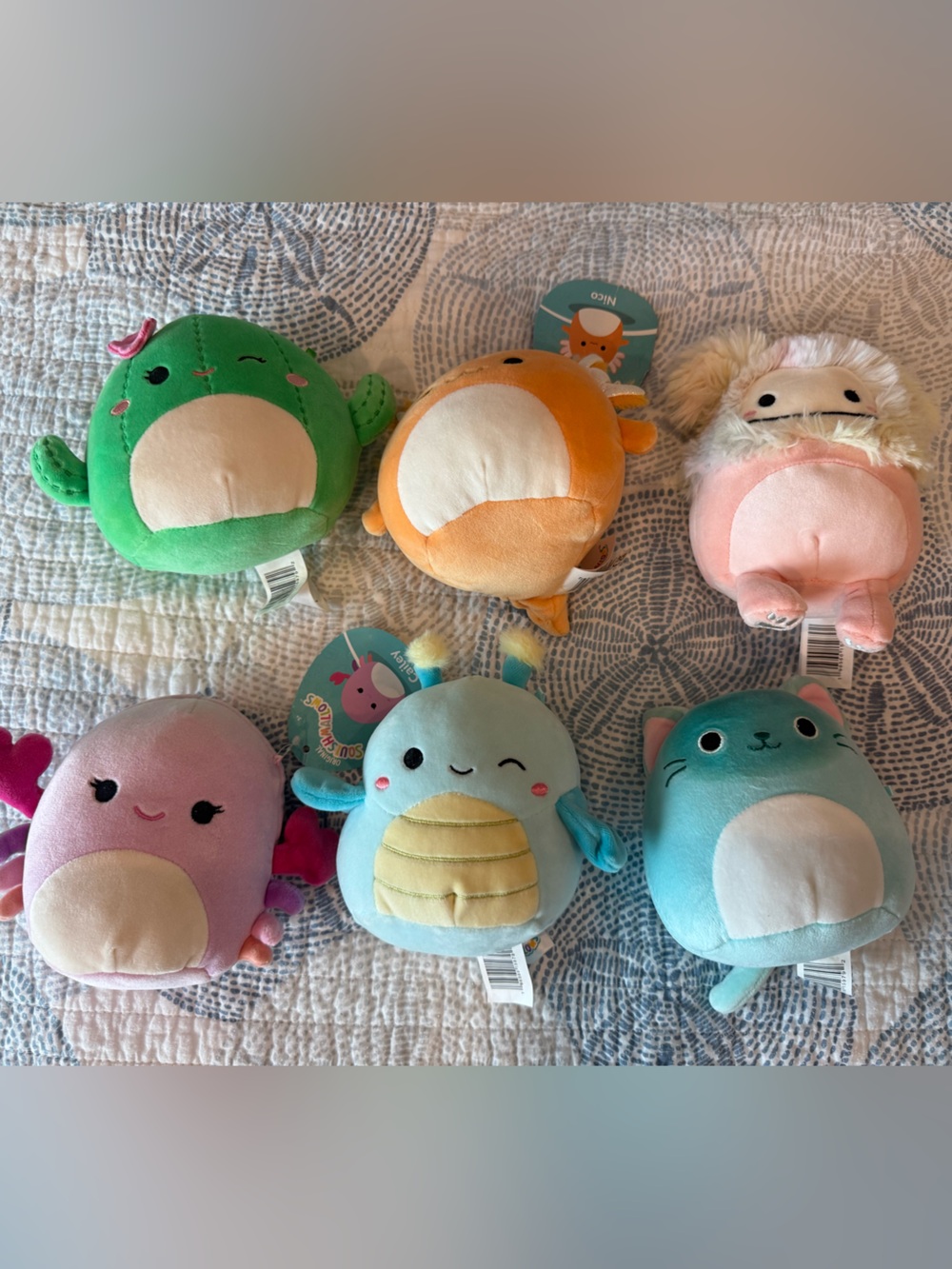Squishmallows Assorted Plush Pet Toys - Pink, Green, Blue, Orange, Teal